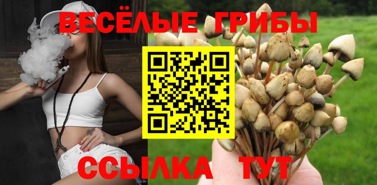 Псилоцибиновые грибы Cubensis Калач-на-Дону