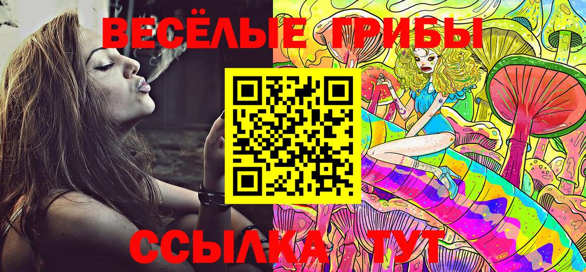 Галлюциногенные грибы MAGIC MUSHROOMS Калач-на-Дону