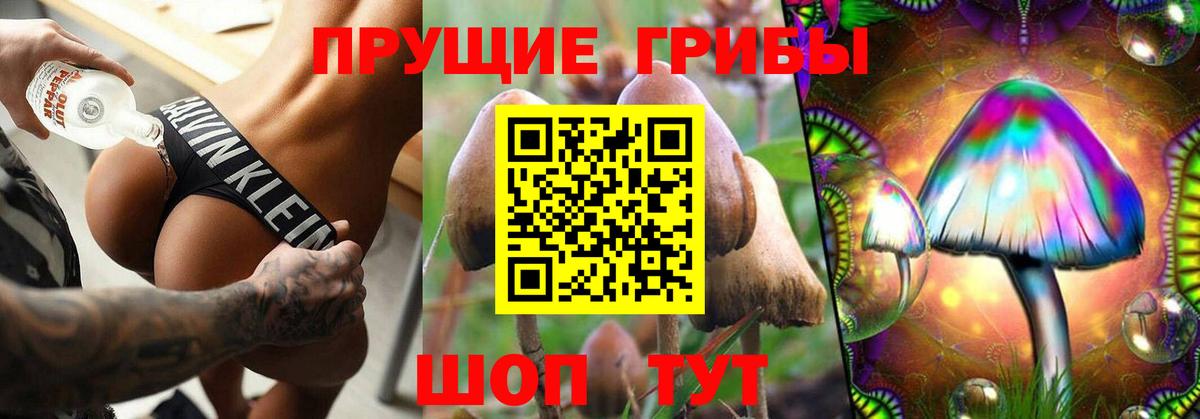 Псилоцибиновые грибы Cubensis  наркота  Калач-на-Дону  Вход с VPN  Псилоцибиновые грибы Cubensis 